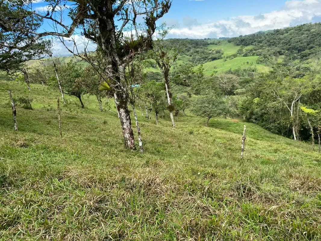 Con frente a calle pública esta hermosa finca tiene potreros, llanuras y bellas vistas a las montañas de Ángeles de San ... — photo 3