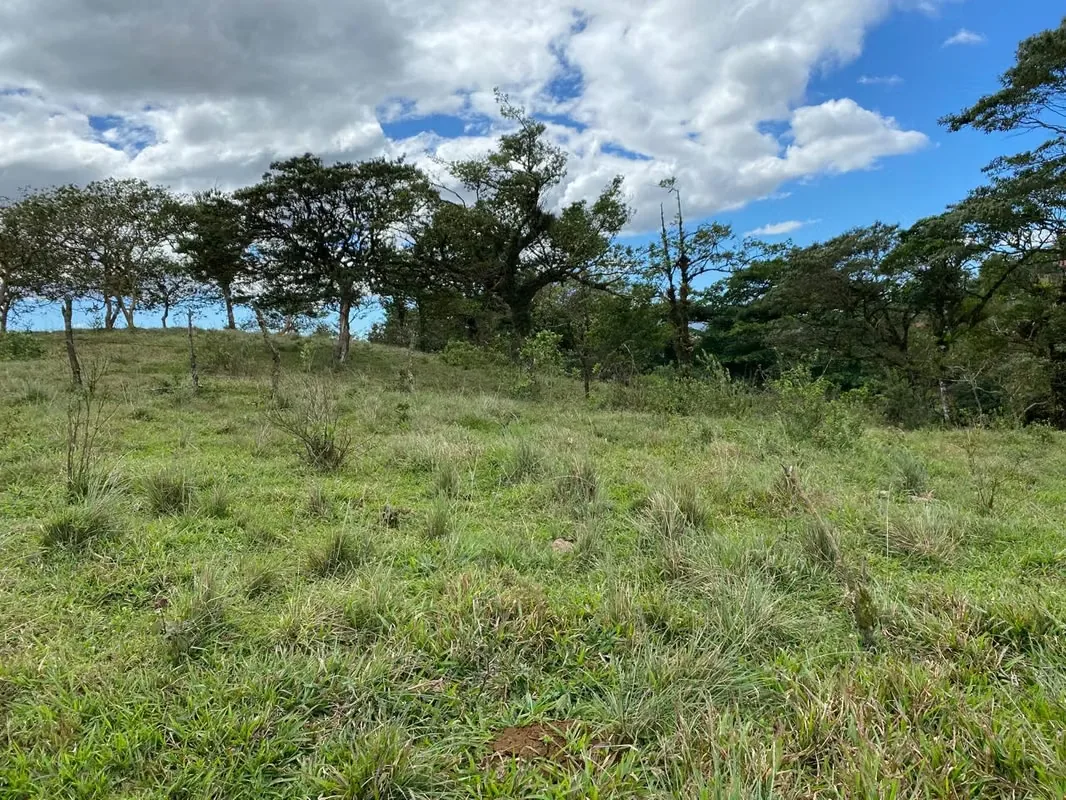 Con frente a calle pública esta hermosa finca tiene potreros, llanuras y bellas vistas a las montañas de Ángeles de San ... — photo 4
