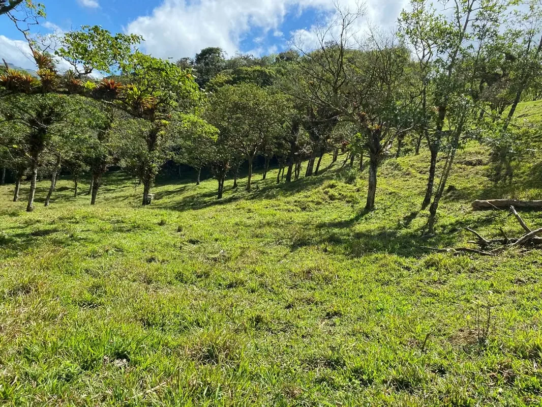 Con frente a calle pública esta hermosa finca tiene potreros, llanuras y bellas vistas a las montañas de Ángeles de San ... — photo 5