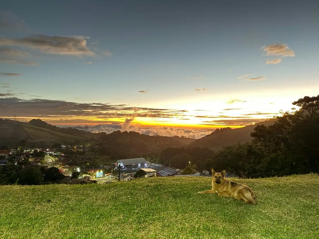Farm for Sale in Zarcero Alajuela