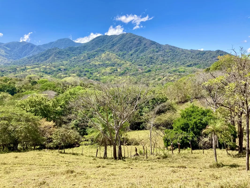 Farms for sale in Turrubaras