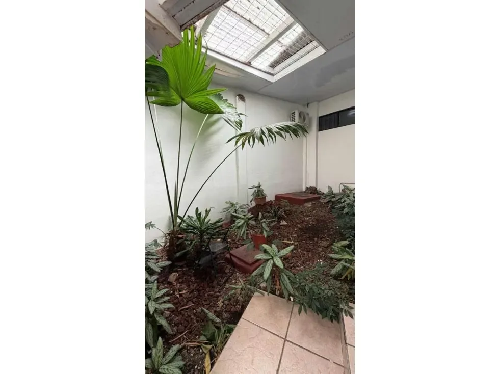 SALE OF COMMERCIAL BUILDING, DISTRICT TOURNON, SAN JOSE 4207 (GC) — photo 2