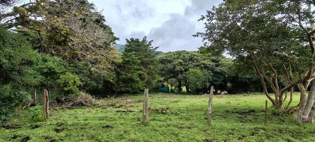 Pareados for sale in San Rafael de Heredia