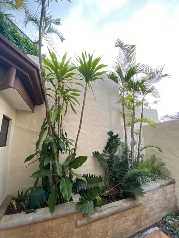 House for Rent in a Gated Community 3 HAB – San Rafael de Escazú$1950 — photo 3