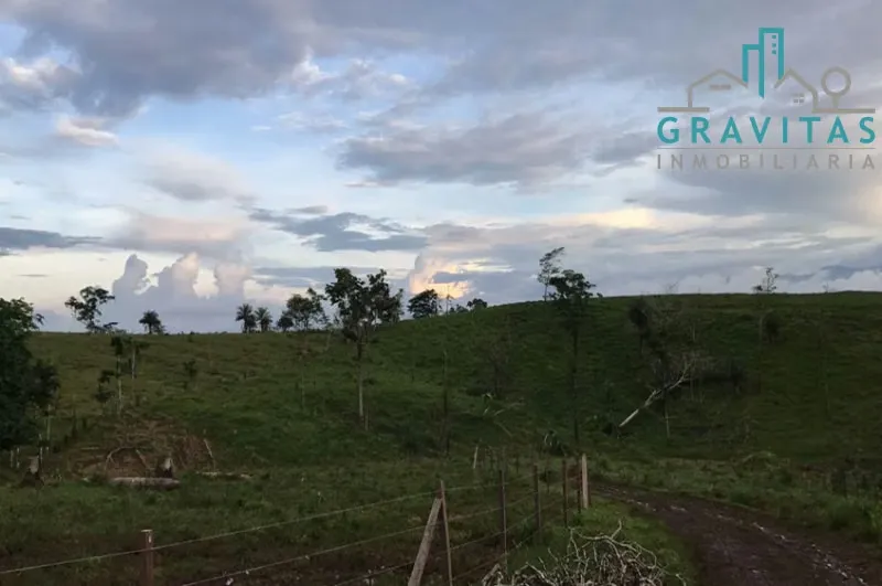 Cattle Ranch for Sale, 741 hectares in La Cruz, Guanacaste ID 1894