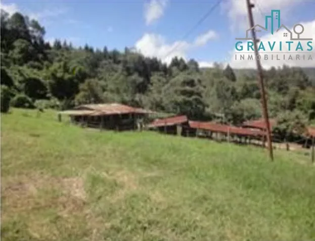 Finca for sale in La Carpintera, Cartago (34 hectares) ID 1646