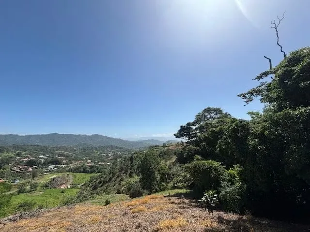 Useful land in the Athenian countryside with views in the Barrio Jesus, in a ... — photo 2