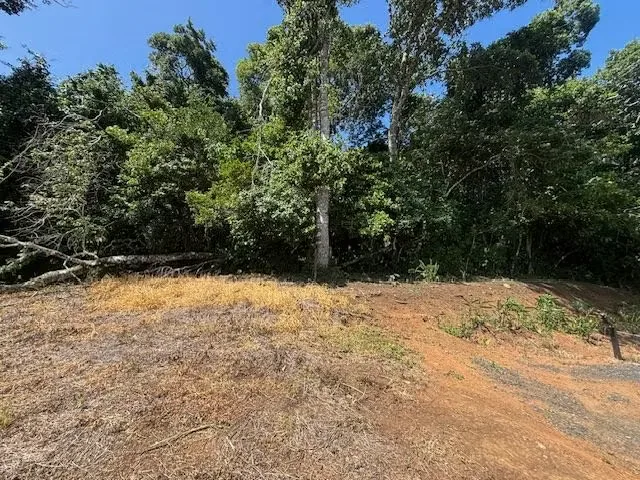 Useful land in the Athenian countryside with views in the Barrio Jesus, in a ... — photo 3