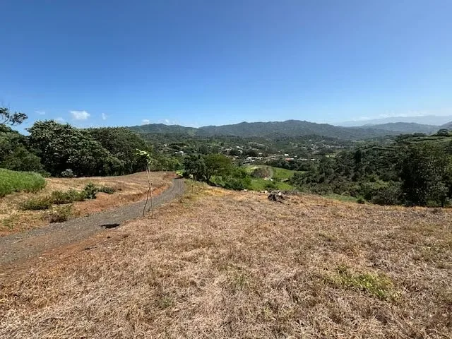 Useful land in the Athenian countryside with views in the Barrio Jesus, in a ... — photo 4