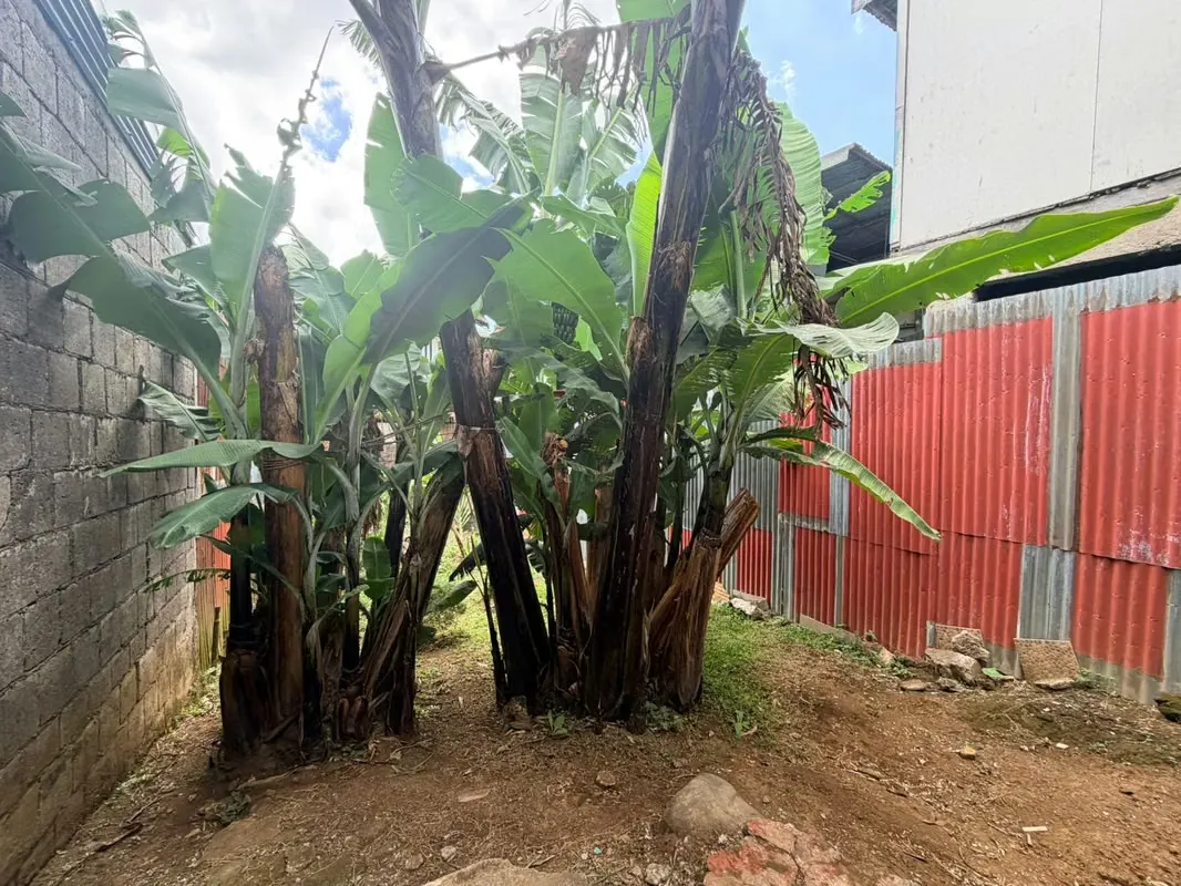 Lot for sale in Cedros ID 26616 KE