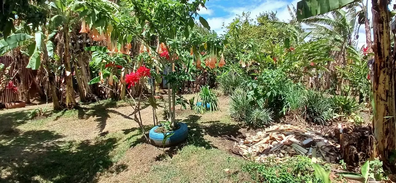 Lot for sale in Santo Domingo de Heredia - 725 m ² with mixed floor use — photo 3