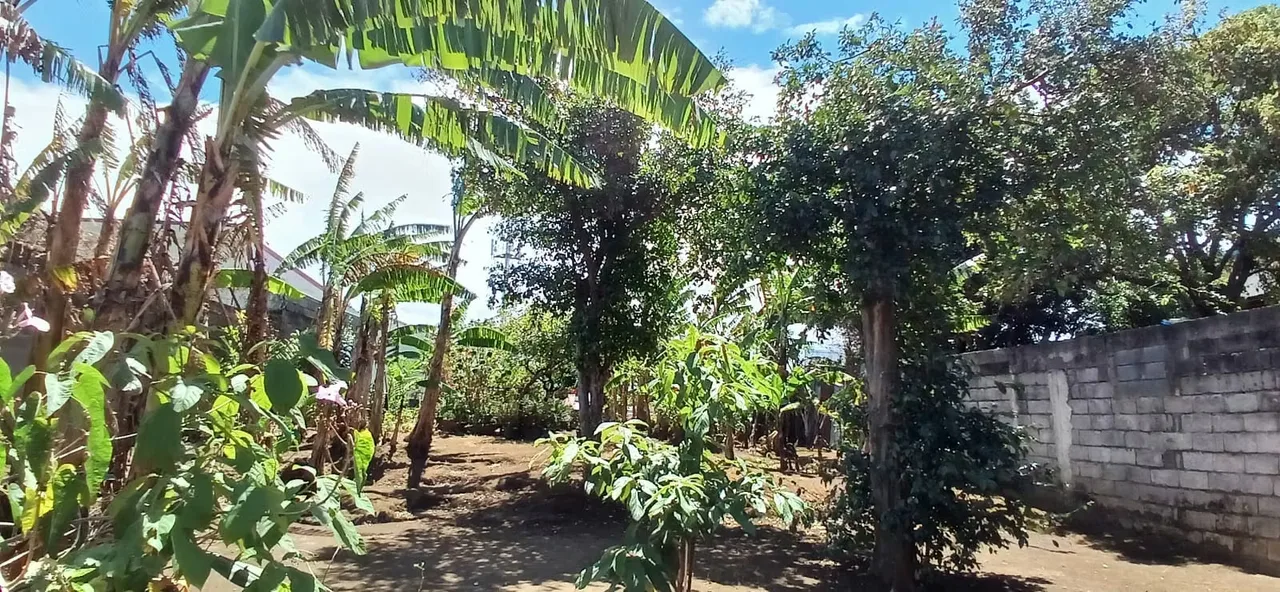 Lot for sale in Santo Domingo de Heredia - 725 m ² with mixed floor use — photo 5