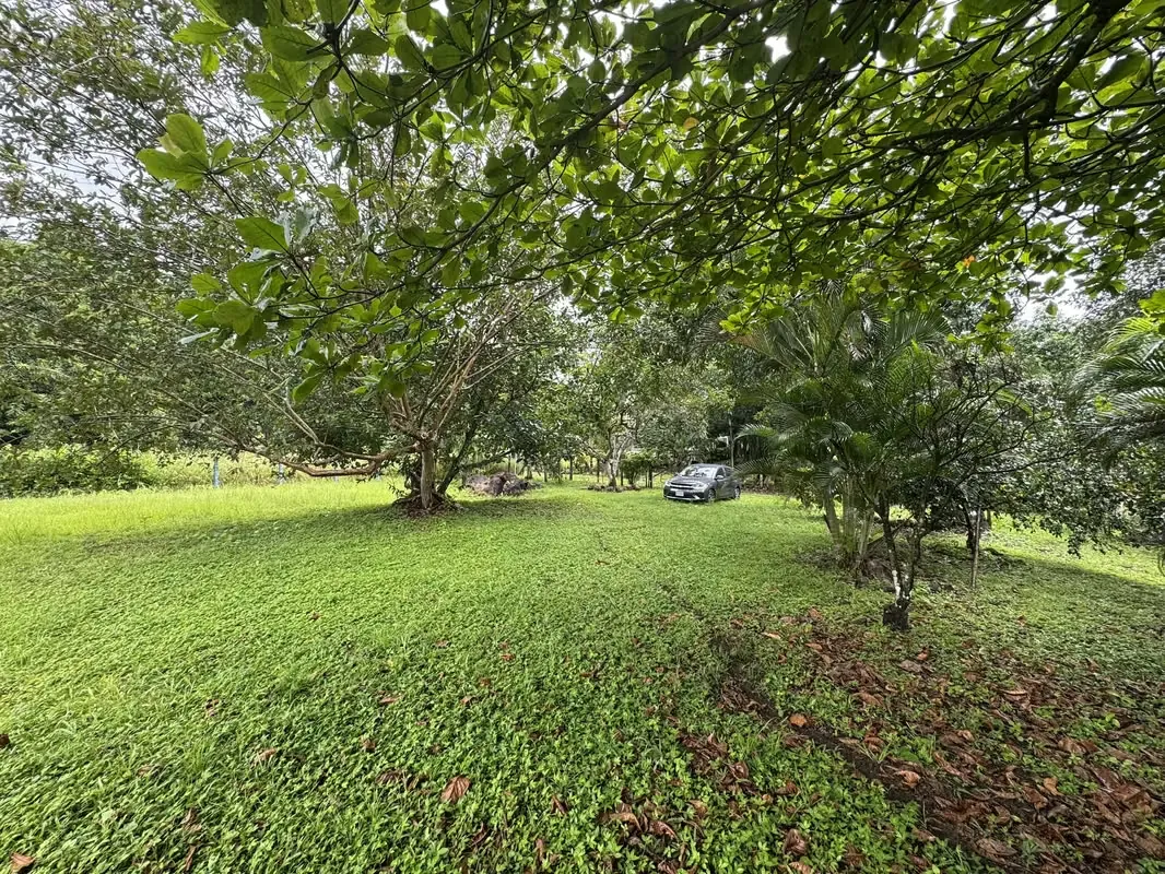 Lot for sale in Orotina