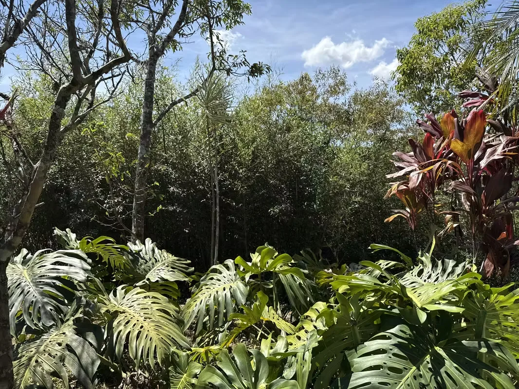 1.9 hectares in the Puriscal area with open views of the mountains, forest, river and nature in all directions. The property has fruit trees and a small house, ideal to enjoy from now ... — photo 4