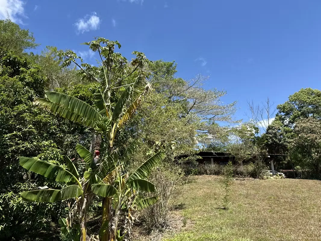 1.9 hectares in the Puriscal area with open views of the mountains, forest, river and nature in all directions. The property has fruit trees and a small house, ideal to enjoy from now ... — photo 5