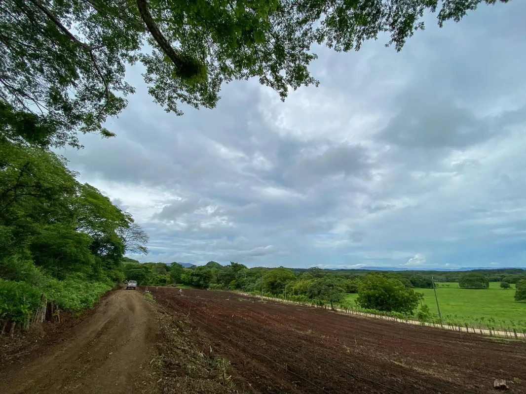 Finca de 90 hectáreas cerca de Abangares, con una combinación de amplios pastos y áreas de bosque, ideal para proyectos agrícolas, ganaderos o de siembra.