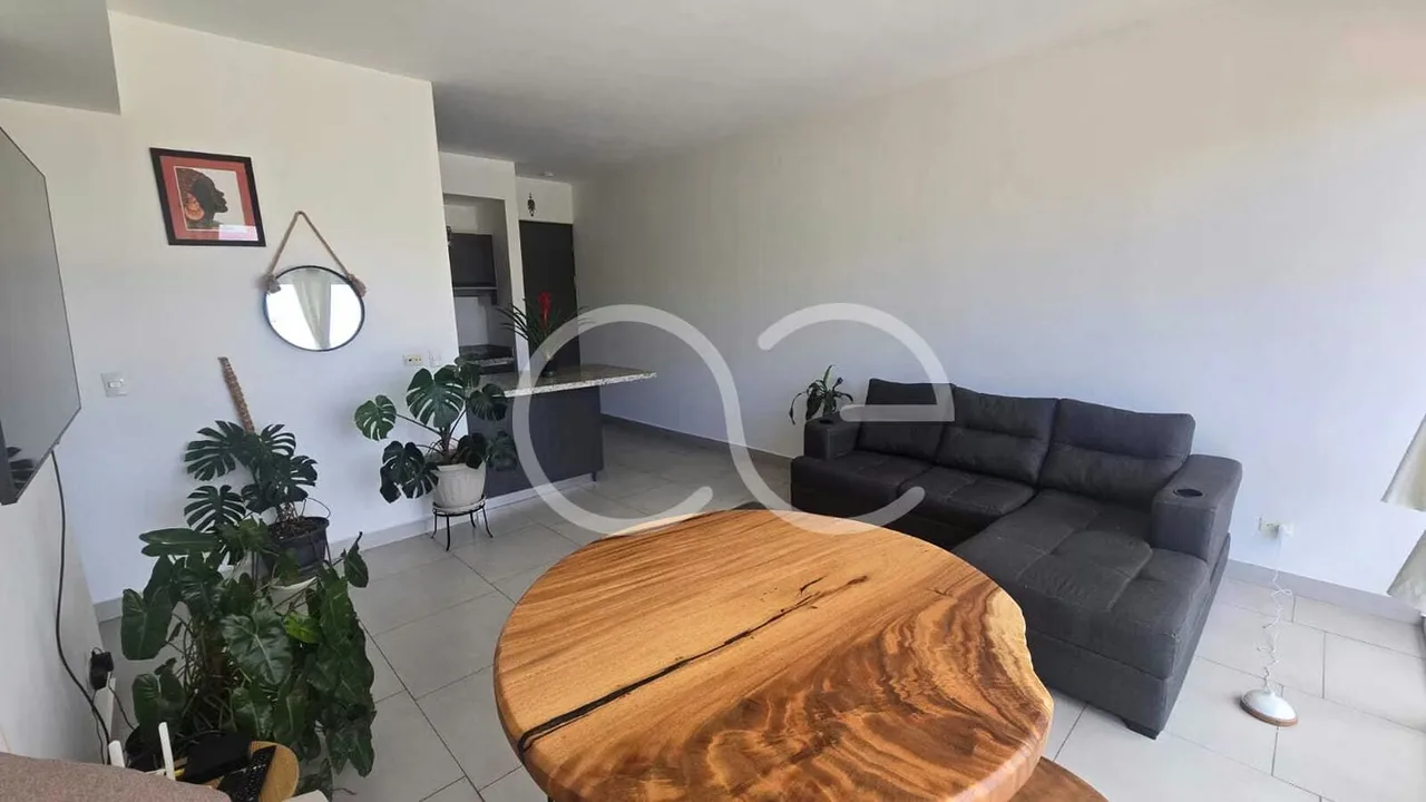 APARTMENT FOR RENT, HEREDIA, SAN PABLO, ALTAMIRA CONDOMINIUM - 9955916 — photo 3