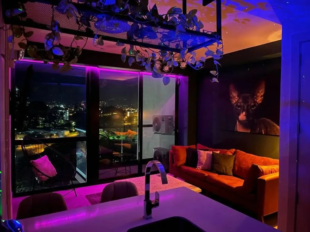 This beautiful rental apartment is located in one of the most exclusive areas of San José, Barrio Escalante. With a private area of 100 square meters, it has everything you need for ... — photo 4