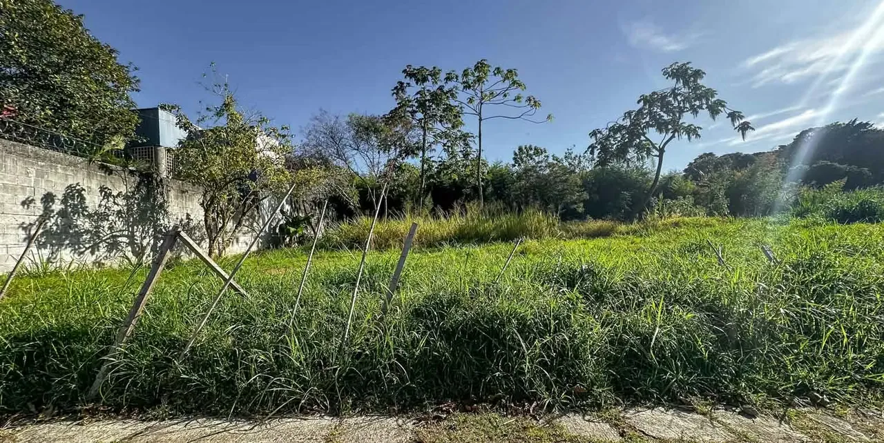 Venta lote amplio para desarrollo residencial, San Rafael. (AD)