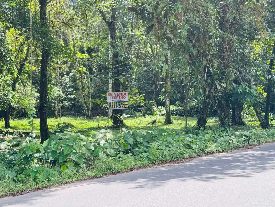 Sale of a country house in a high-value area, Buenos Aires de Guápiles, Limón