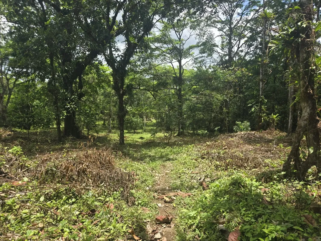 vestment property located in El Gavilan, Upala, within the rapidly growing Rincon de la Vieja tourism corridor. This 3.6-hectare property features two natural hot springs and two ...