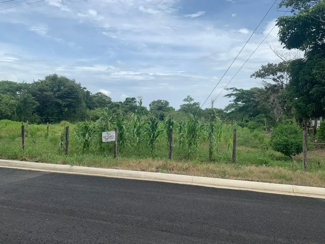 Lote en el Centro de Orotina cerca del campo ferial, a 200 mtrs del centro de Orotina, costado del estadio. 150 mtrs del Narime complejo deportivo y cultural con canchas de Voleibol ...