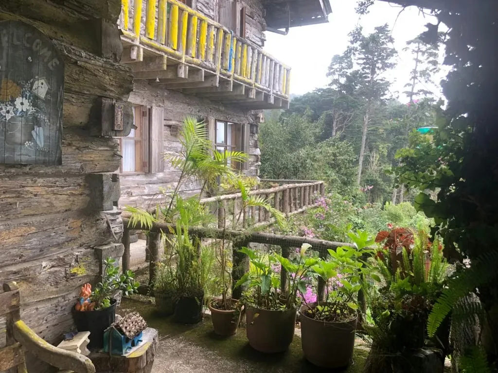 For Sale Magical Cabin in San Jose de la Montaña. — photo 2