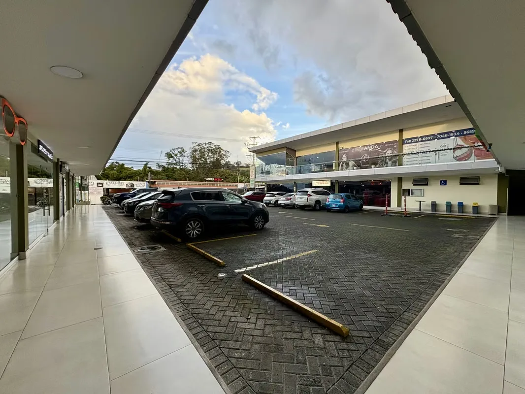 Commercial space for rent in San Juan La Unión Cartago — photo 2