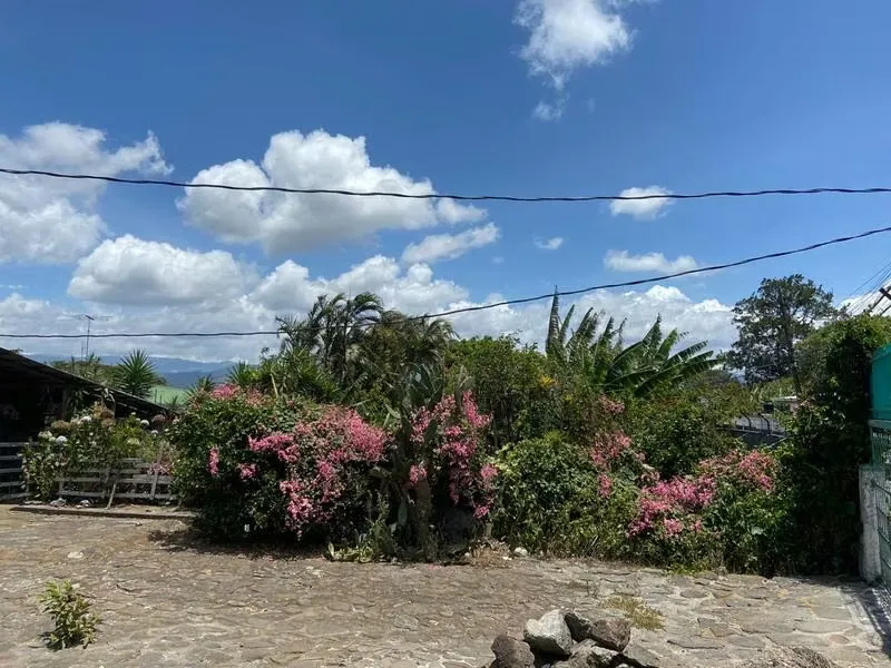 Land for Sale 13431
