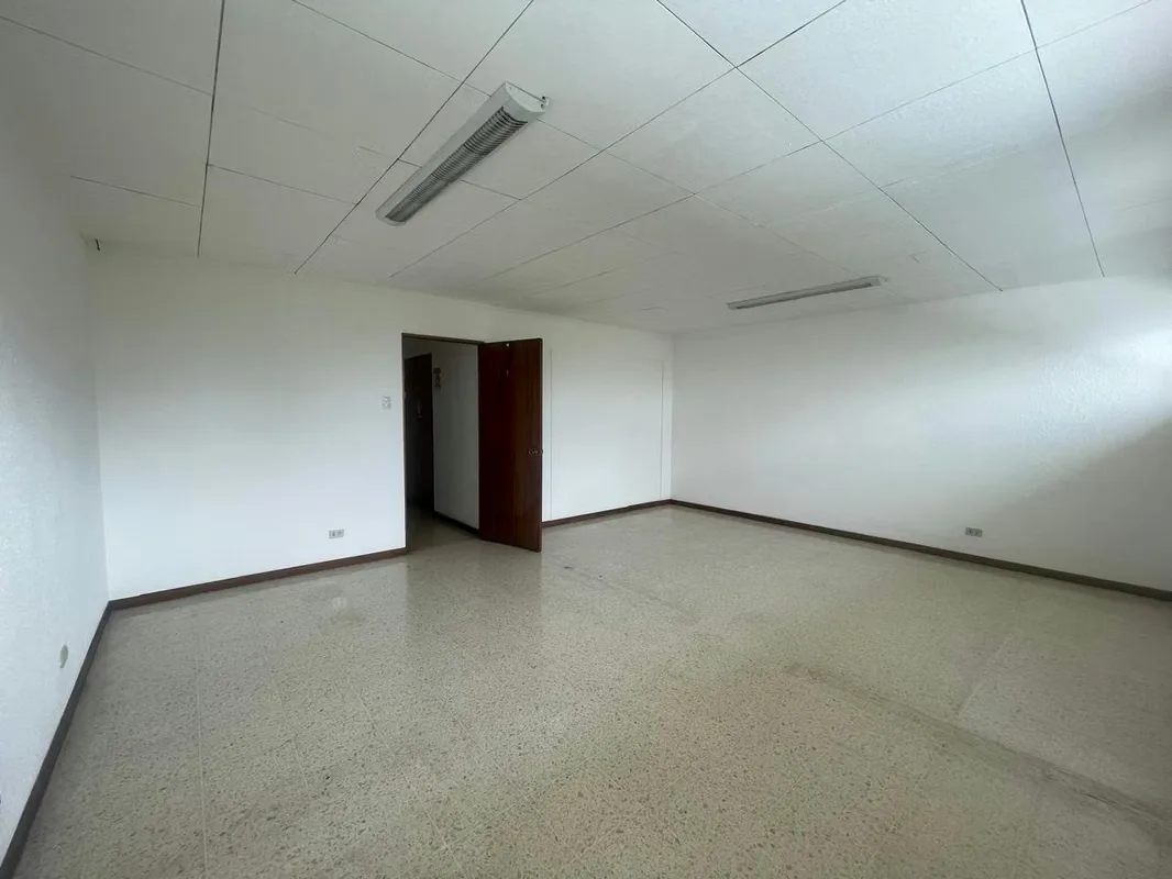 Local / Office for rent in Sabana Norte! P574, photo 5