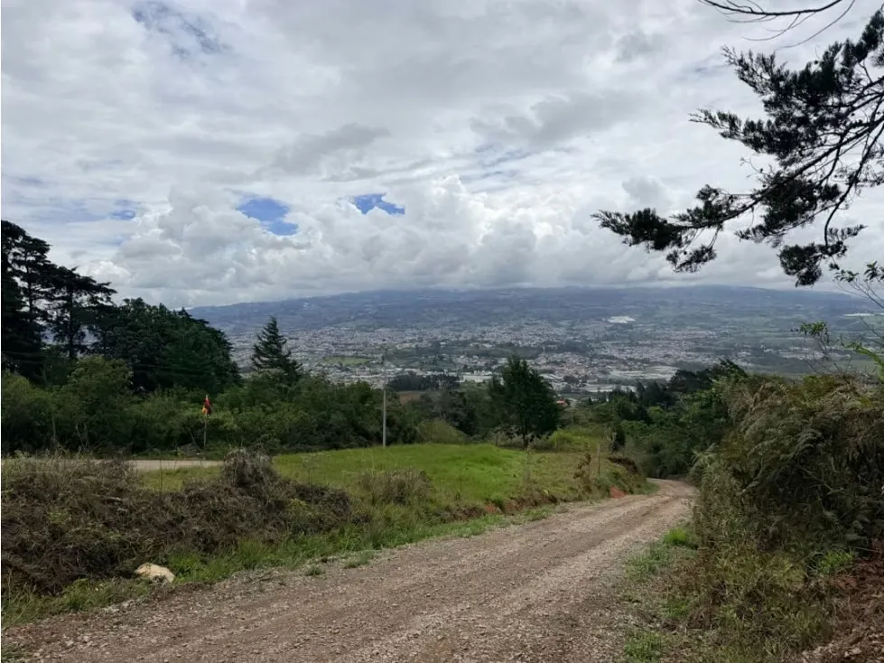 Venta de finca en Cartago, Lourdes, 5 ha, con madera