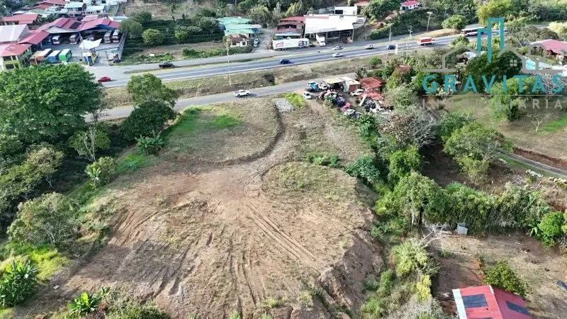 Terreno en venta en Naranjo, Alajuela (6000 m2) ID 1719