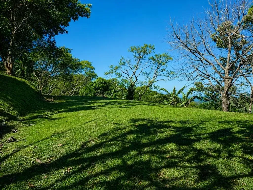 SE VENDE linda quinta en Grifo Alto de Puriscal, zona rural y agrícola con vistas preciosas!