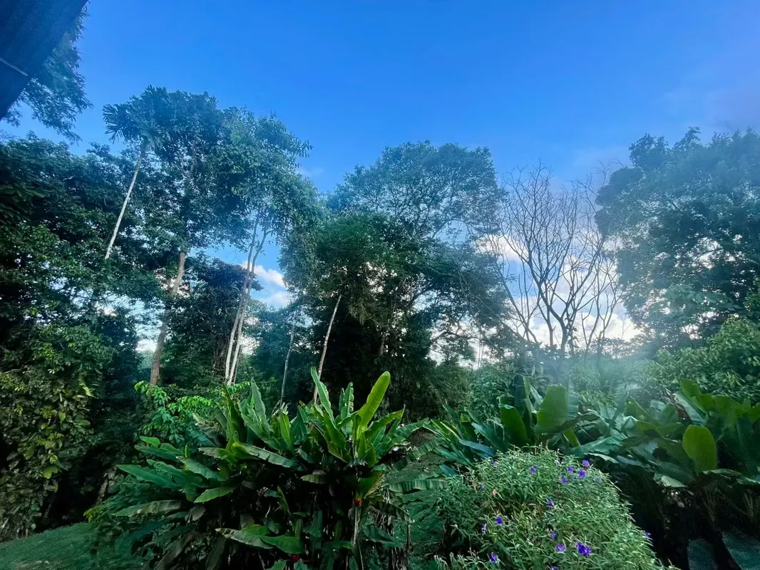 MLS506 — Dos Quintas en Venta en Sarapiquí, Heredia