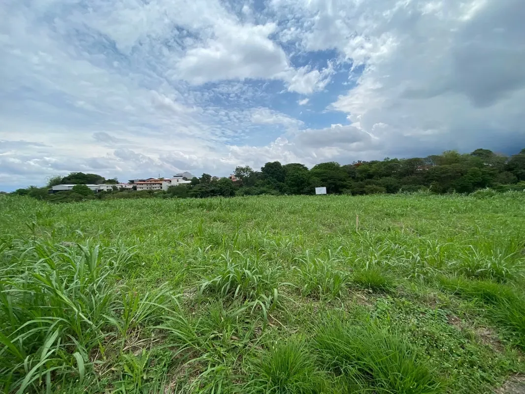 Take advantage of a rare investment opportunity in one of the most sought-after and high-value areas of the city. This ...