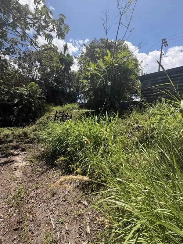 Propiedad con uso de suelo mixto en San Rafael de Montes de Oca. Excelente ubicación sobre calle principal! — photo 4