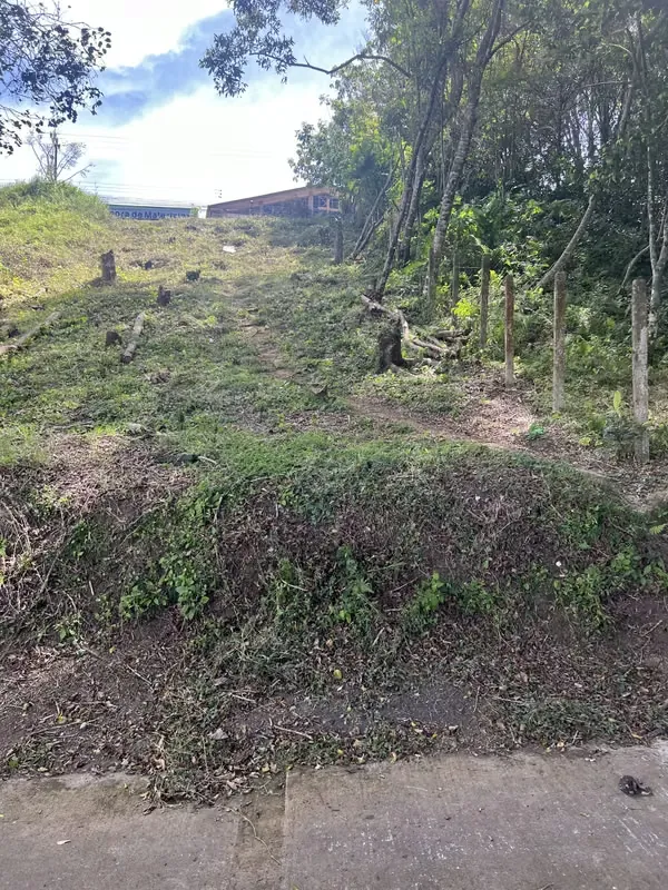 Lindo lote, excelente ubicación, vecindario, cerca de centros comerciales, escuelas, colegios y paradas de bus.