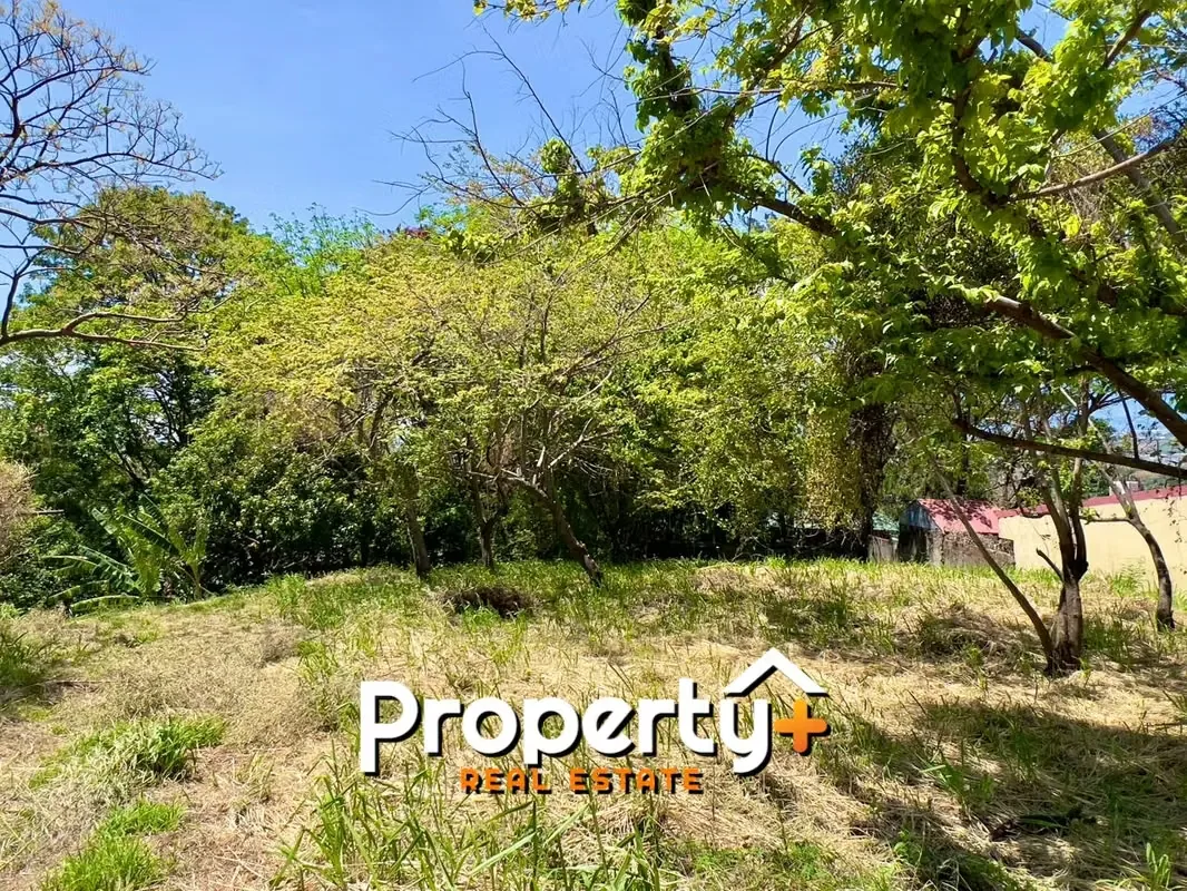 Descubre este magnífico lote de 1,016 m², ubicado en la prestigiosa zona residencial de Piedades, Santa Ana. Con un uso ...