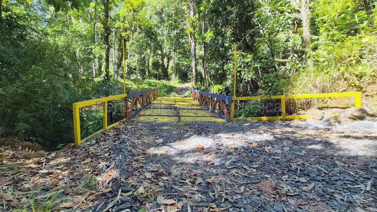 6-Hectare Property for Sale in Sarapiquí | Nature, Privacy & Exceptional Potential