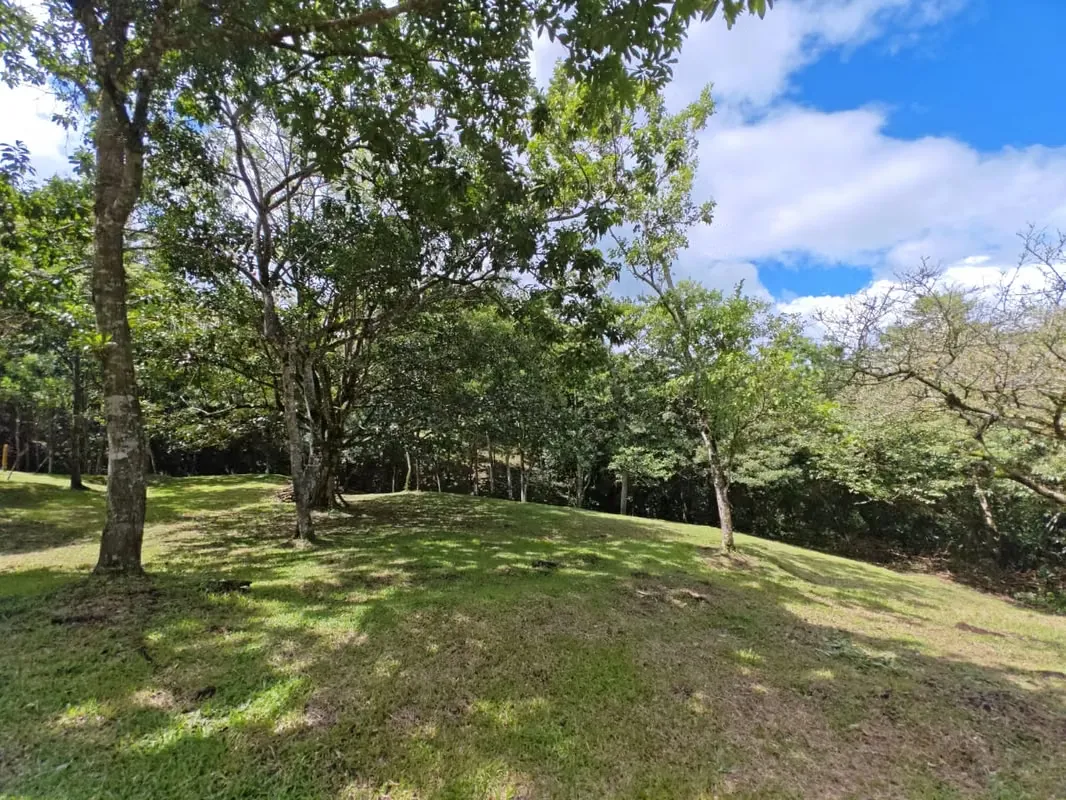 Land for sale in Tilan