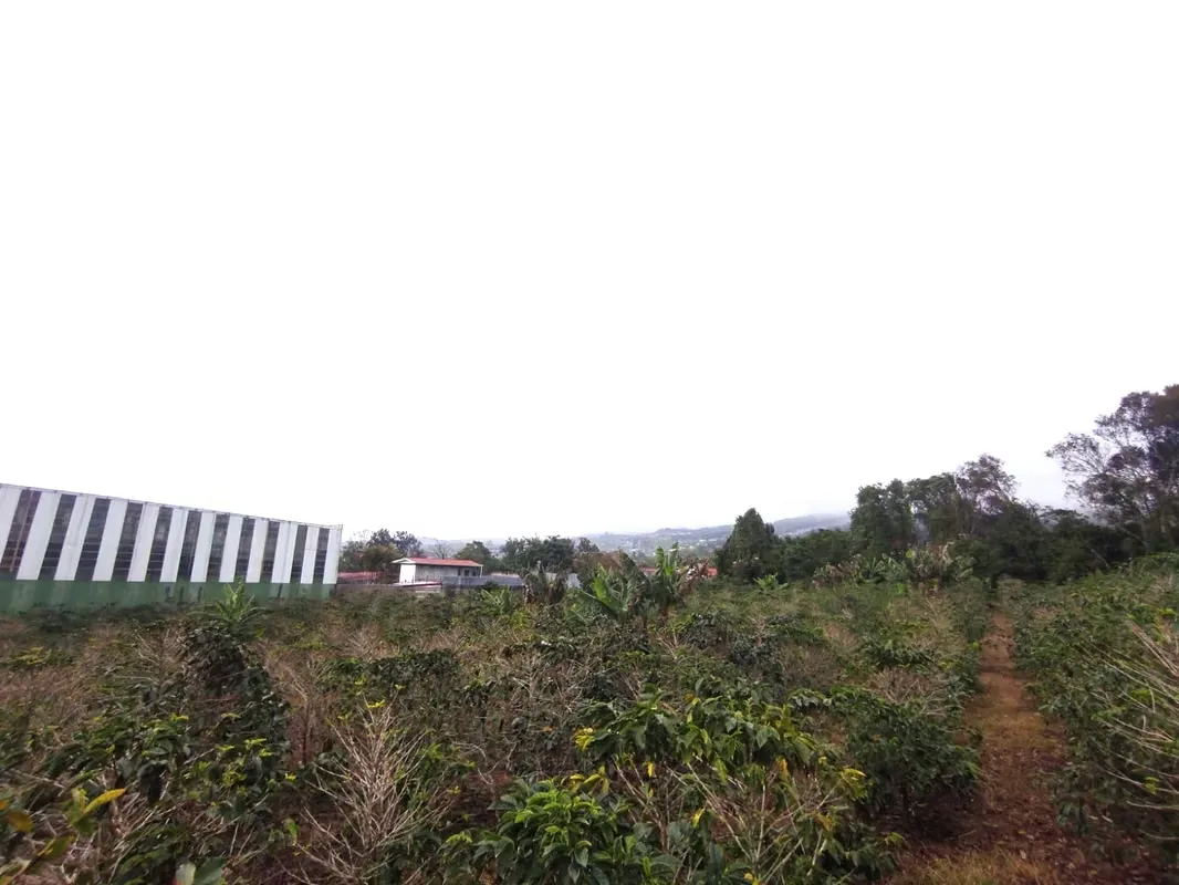 Finca plana a la venta en San Isidro de Heredia