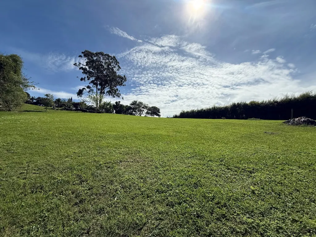 Development Opportunity Land for Sale