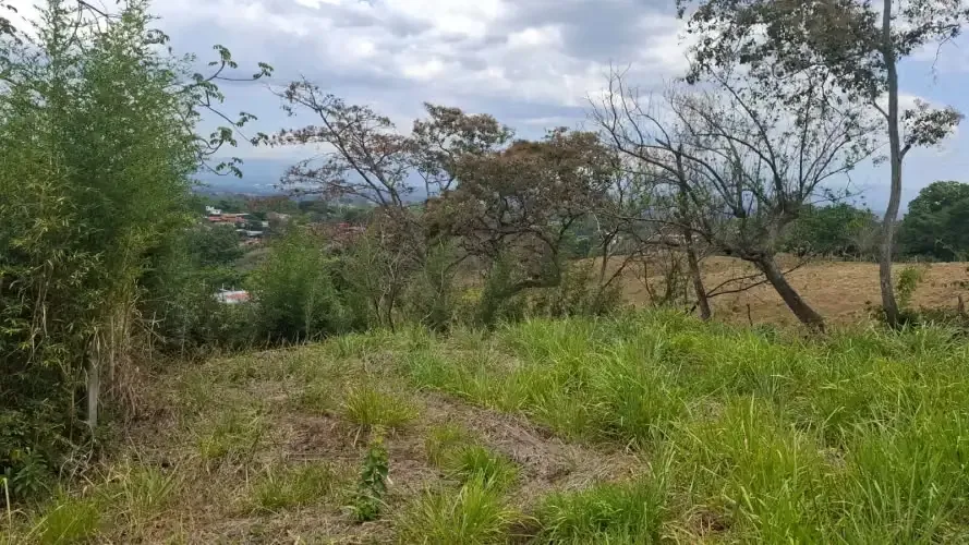 Land for sale in Atenas 18077