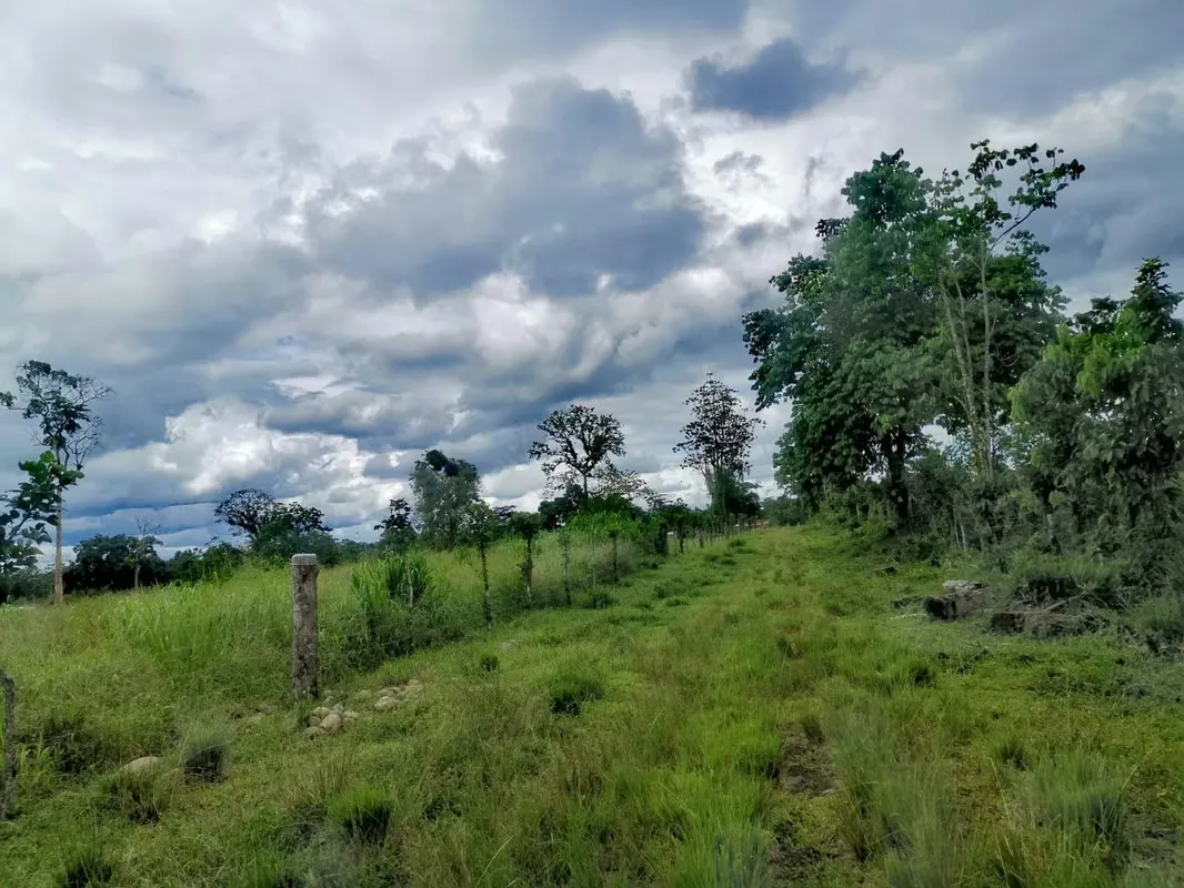 Land for Sale in Guápiles