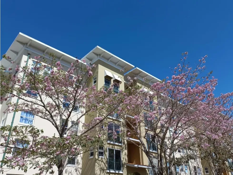 Apartamento en Altos de Palermo, Inversión