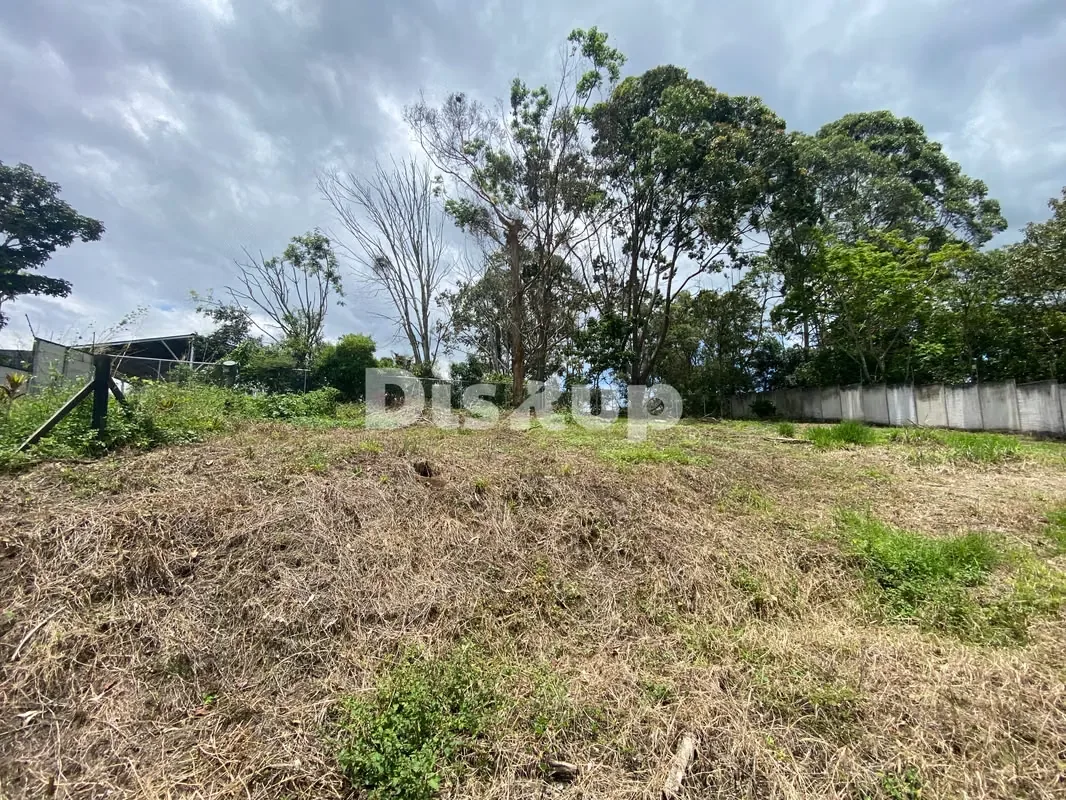 Large plot of land for sale. San Rafael de Montes de Oca, ideal for development. — photo 3