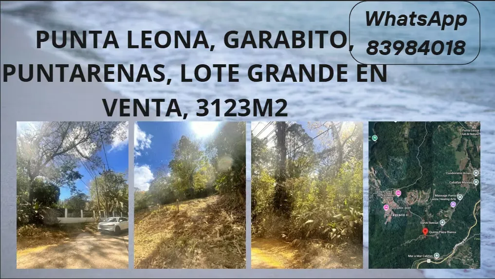 VENDO LOTE GRANDE EN CAMINO VIEJO A PLAYA BLANCA, GARABITO, TARCOLES