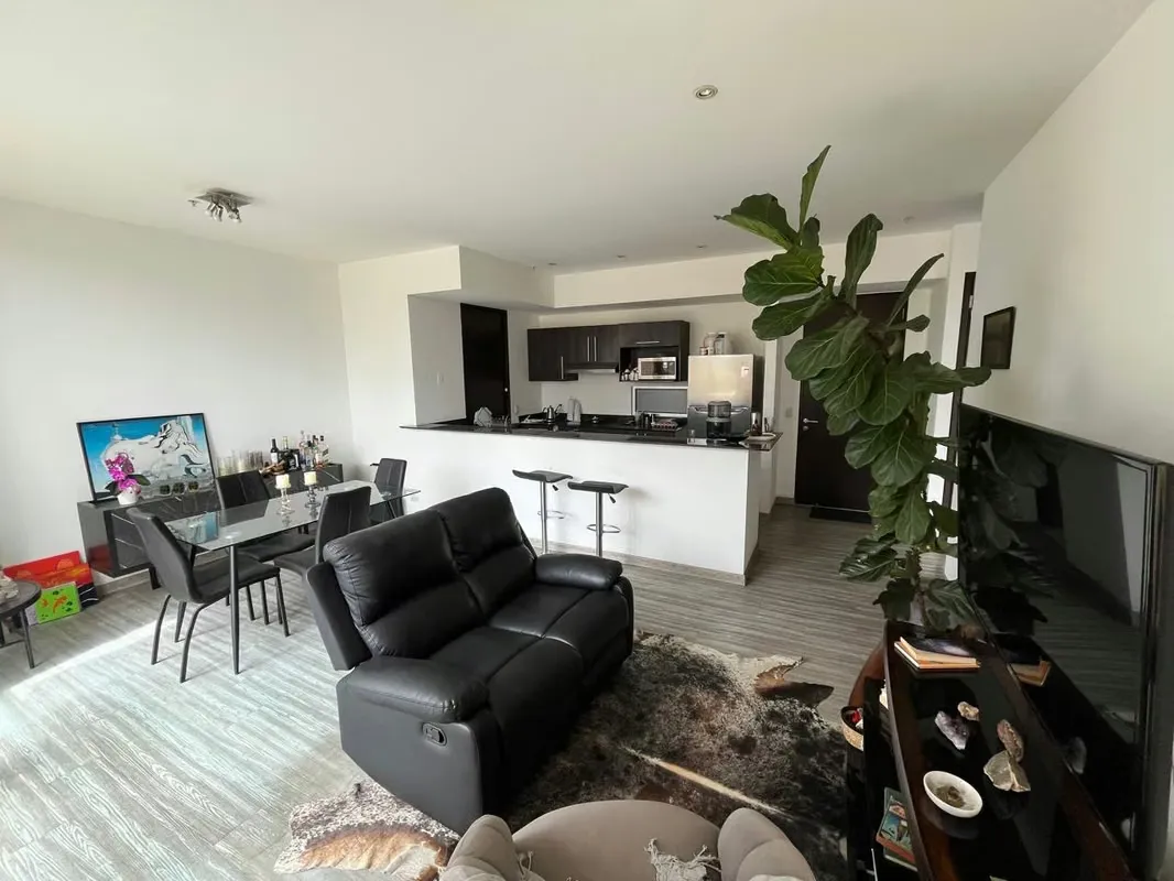 APARTMENT FOR SALE IN NUNCIATURA, VIEW OF THE PARK! P617