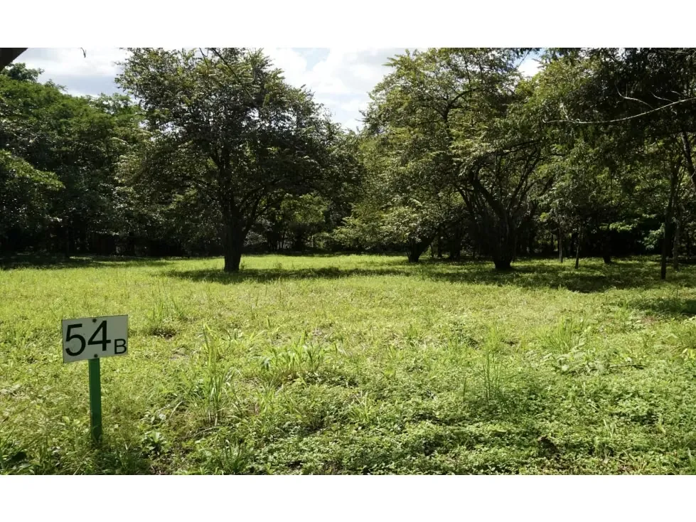 Private Estate Lots Starting at 5,000 m²  Minutes from the Beach