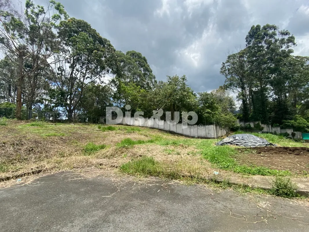 Land for sale, 810 m2. San Rafael de Montes de Oca — photo 2